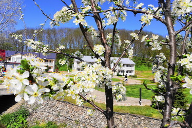 Термальные источники для семейного отдыха